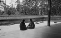 Cuộc sống ở cố đô Kyoto của Nhật Bản năm 1951 (2)