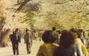Ít ai ngờ, cuộc sống ở Seoul cuối thập niên 1970 là thế này