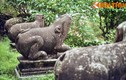 Tận mục bộ 10 linh thú nghìn tuổi quý giá nhất Việt Nam
