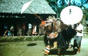 Khám phá hòn đảo thiên đường Bali năm 1952