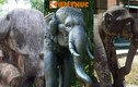 Cận cảnh loạt tượng voi cổ độc đáo nhất Việt Nam 