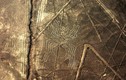 Bí ẩn những biểu tượng cổ đại trên mặt đất Peru có lời giải?
