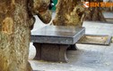 Cận cảnh chiếc ghế đá cổ đặc biệt nhất Việt Nam