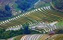 Ba miền Việt Nam tuyệt đẹp qua ống kính John Banagan