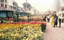Cực độc chợ hoa Tết Sài Gòn 1971 qua ảnh của người Mỹ 