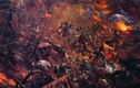 Trận đánh nào làm 700.000 người chết trong lịch sử Trung Quốc? 