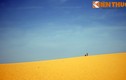 Cảnh siêu thực của sa mạc cát khổng lồ ở Bình Thuận