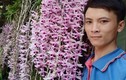 Trai Đắk Nông khoe giò lan rừng phi điệp tím "khủng", dân tình phát sốt 