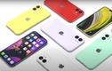 Muốn mua iPhone 12, đừng bỏ qua các thông tin dưới đây