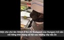 Video: Chú chó làm đầu bếp khiến dân mạng ôm bụng cười