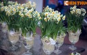 Ly kỳ sự tích về hoa thủy tiên ngày Tết Việt 