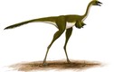 Cận cảnh loài khủng long có đôi tay dị dạng nhất quả đất