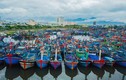 Cảng cá lớn nhất Đà Nẵng có thêm 20 ca dương tính với nCoV