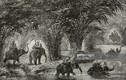 Ảnh độc về hành trình thám hiểm Campuchia cuối thế kỷ 19