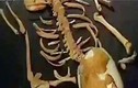 Giật mình thi thể trong mộ cổ 7.000 tuổi: Sao thừa 18 cái xương? 