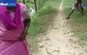 Video: Người đàn ông dùng tay không quật chết rắn hổ mang chúa