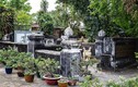 Danh nhân đất Việt: Quan đại thần liêm khiết được vua dựng nhà cho ở 
