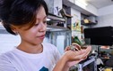 Bộ sưu tập khủng hơn 6.000 con ốc độc lạ của 9X Hà Nội
