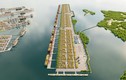  TP.HCM thống nhất chủ trương xây dựng siêu cảng Cần Giờ