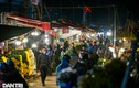 Giá rét, chợ hoa lớn nhất ở Hà Nội họp xuyên đêm
