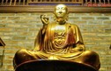 Điều có 1-0-2 của “chốn tổ” phái Phật giáo Tào Động ở Hà Nội