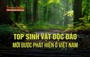 [INFOGRAPHIC] 7 sinh vật độc đáo mới được phát hiện ở Việt Nam