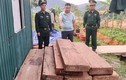 Bắt giữ xe ô tô bán tải chở gỗ lậu ở Quảng Bình