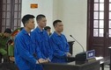 Quảng Trị: Vận chuyển ma túy thuê, 3 thanh niên lĩnh án tử hình