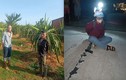 Triệt xóa ổ nhóm chuyên trộm cắp tài sản ở Bình Thuận