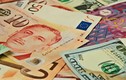 Tỷ giá ngoại tệ ngày 15/8: Euro sụt giảm, USD lên cao