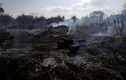 Hình ảnh rợn người vụ cháy kỷ lục ở “lá phổi xanh” rừng Amazon