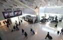 Quan chức Nhật bị bắt tại Hàn vì tấn công nhân viên sân bay