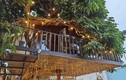 Video: Ngôi nhà trên cây nhãn độc đáo nhất ở Thủ đô, giá chỉ 130 triệu đồng