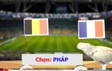Video: Xem các linh vật dự đoán trận bán kết World Cup Pháp - Bỉ
