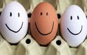 Trứng gà vỏ nâu hay vỏ trắng nhiều dinh dưỡng hơn?
