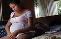 Phụ nữ nhiễm Zika cuối thai kỳ con không bị dị tật