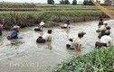 Xem dân xứ Quảng bắt cá bằng nơm tre mùa mưa lũ