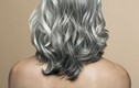Bệnh tật gì đang phát triển khi tóc bị bạc sớm
