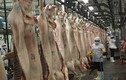 Bộ Nông nghiệp kiến nghị dự trữ thịt lợn giải cứu chăn nuôi