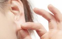 Video: Bí quyết chà xát vành tai để bổ thận, ngày chỉ cần làm 2-3 lần là đủ