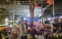Đắk Lắk: Tiểu thương đồng loạt giảm giá hoa xuân... người mua lác đác