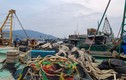 Toàn cảnh hoạt động của cảng cá lớn nhất miền Trung