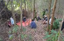Phú Yên: Triệt xóa sòng bạc “lưu động” trong rừng keo 