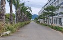 Đà Nẵng: Cỏ dại ngập lối dãy shophouse tiền tỷ ở “đảo ngọc“