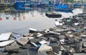 Đà Nẵng: Mướt mồ hôi dọn rác quanh Âu thuyền Thọ Quang