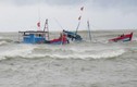 Quảng Nam: Hai tàu câu mực bị sóng đánh chìm, 15 ngư dân mất tích 