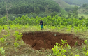 Quảng Nam: Nguyên nhân xuất hiện “hố tử thần” trong rừng keo