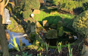 Vườn Nhật Bản của nhà sư tại Anh thu hút 10.000 du khách