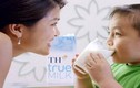 Sếp TH True Milk bàn chuyện nông dân đổ sữa