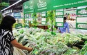 Hệ thống Vinmart chính thức phân phối rau sạch Vineco